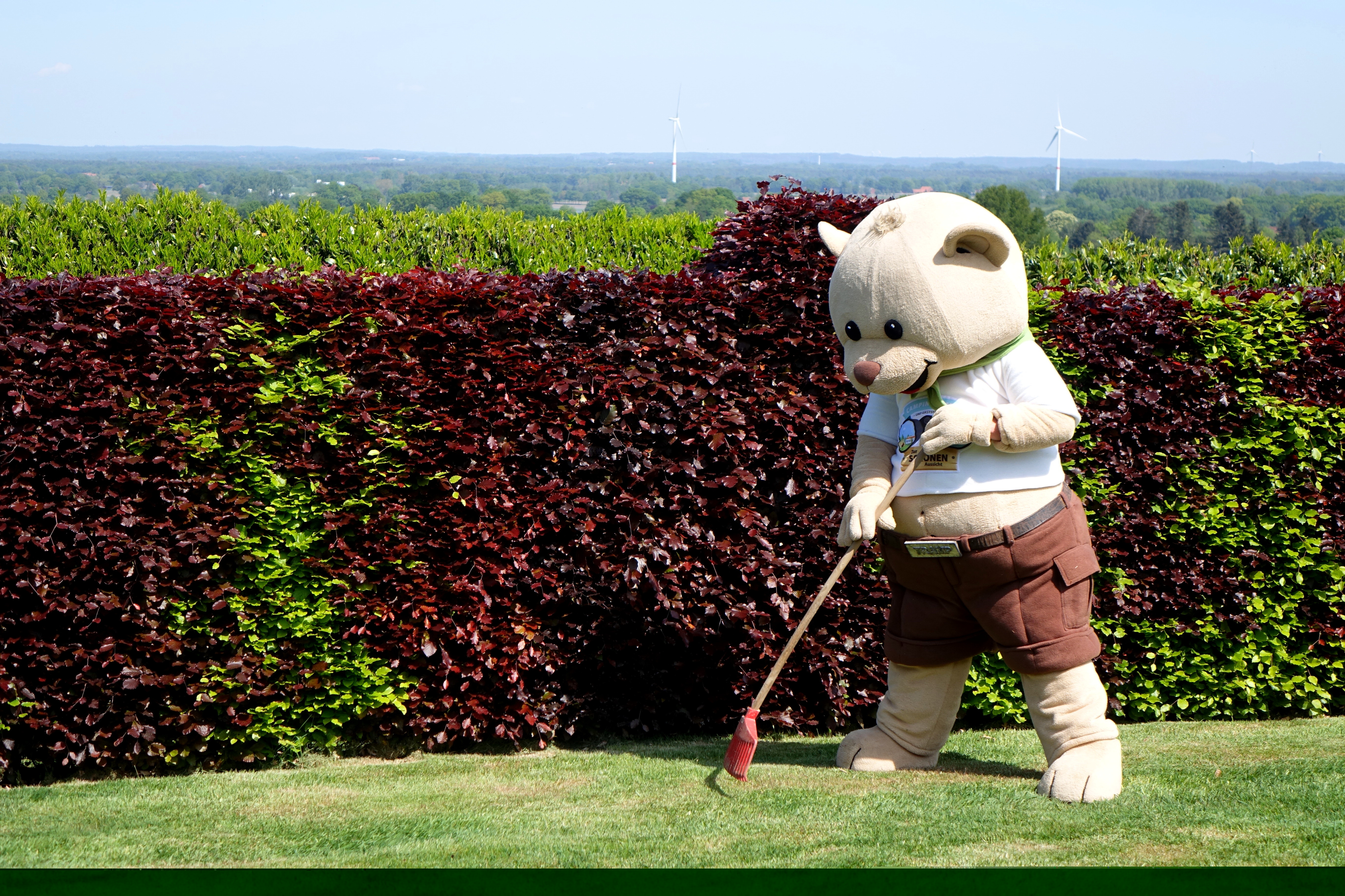 Teddy bei der Gartenarbeit