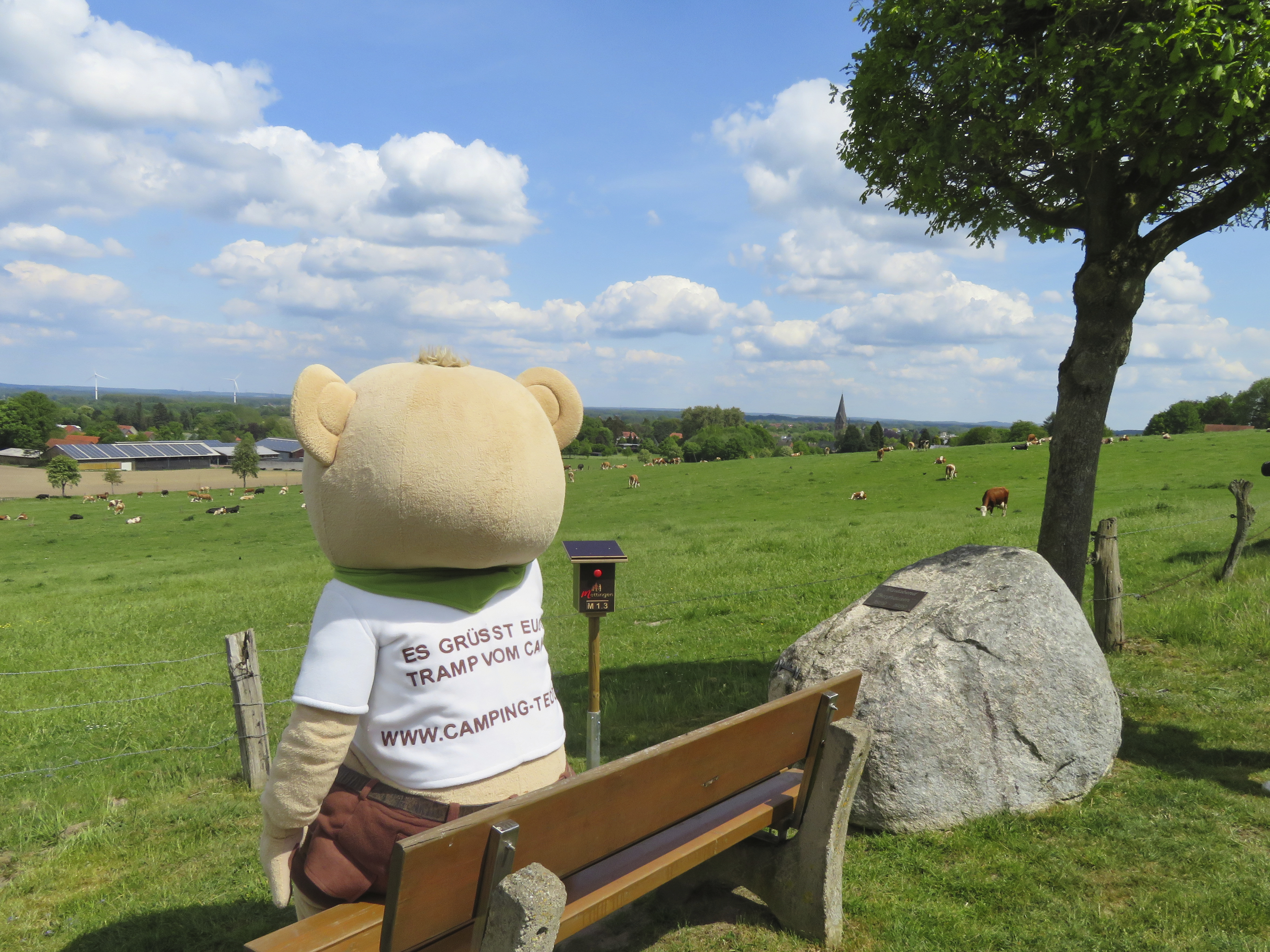 Teddy vom Campingplatz ”Zur Schönen Aussicht” genießt die Aussicht